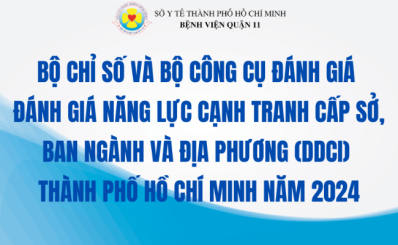 Bộ chỉ số và Bộ công cụ đánh giá đánh giá năng lực cạnh tranh cấp Sở, ban ngành và địa phương (DDCI) Thành phố Hồ Chí Minh năm 2024